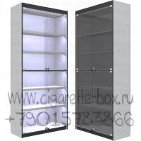 Витрина с тонированными дверками и подсветкой полки из лдсп